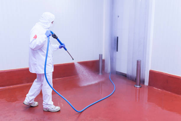 Best Roof Cleaning and Mildew Removal in Lynchburg, OH